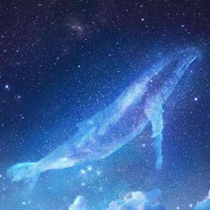 日韩高清无码毛片
