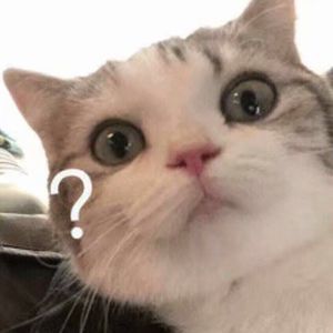 日韩高清无码毛片
