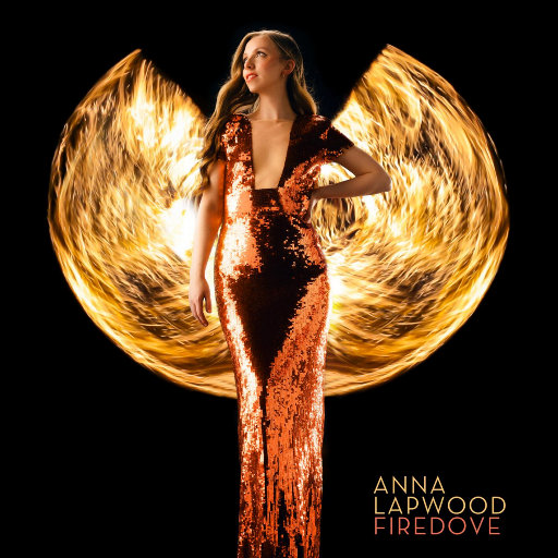 日韩高清无码毛片
